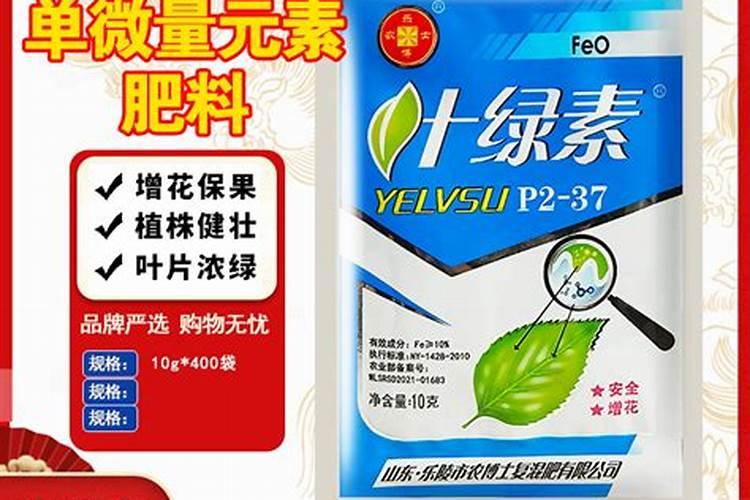茄子种植用什么肥料提高坐果率？茄子高产专用叶面肥哪里买？