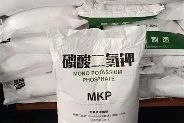 高粱什么时候喷施磷酸二氢钾？