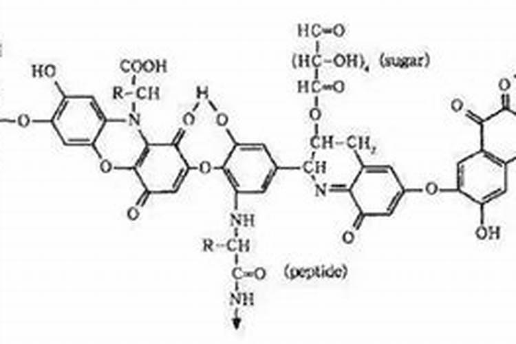 请问黄腐酸、氨基酸、腐植酸的作用和区别有哪些？