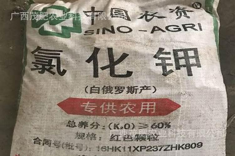 硅肥施肥方法