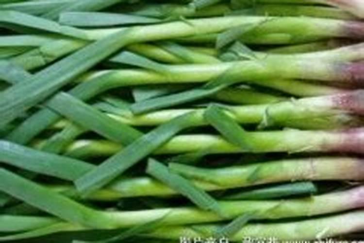 大蒜叶面肥喷什么肥最好