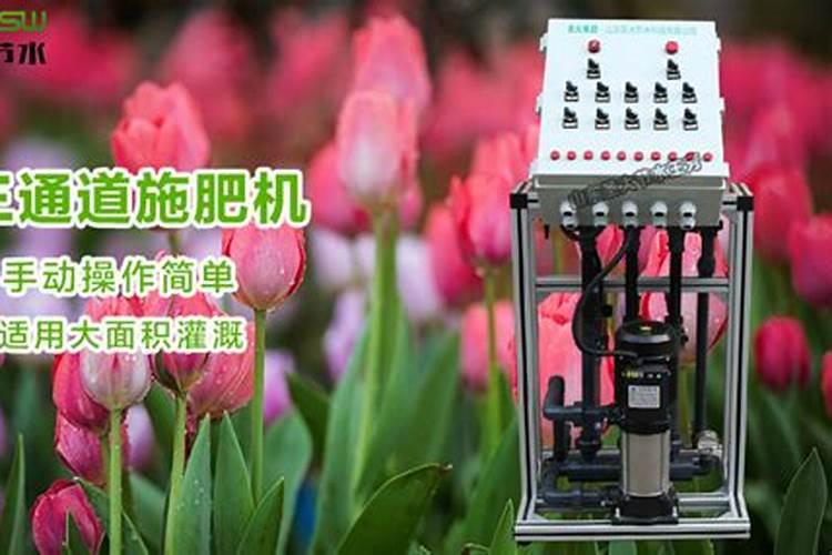 大量元素水溶肥对花卉绿植的用法