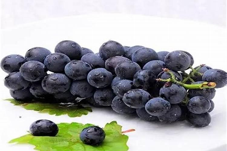 新栽葡萄树怎么施底肥最好？