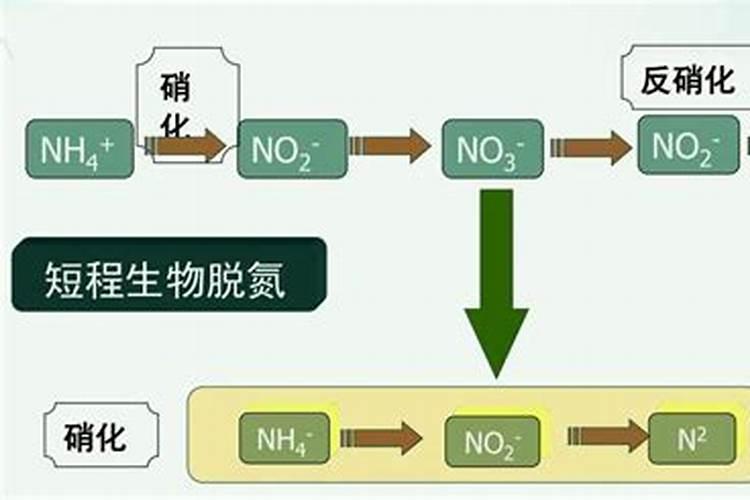 硝态氮肥的功效与作用