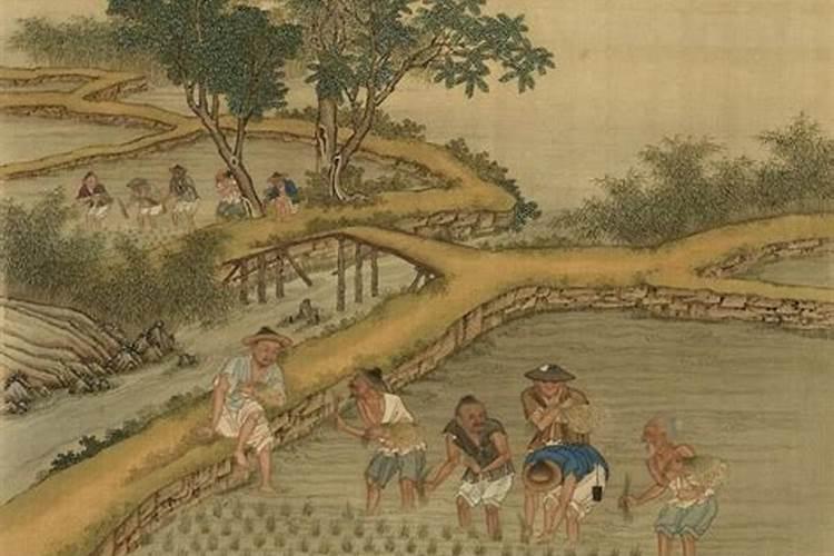 草木灰的作用是什么？“草木灰”在古代有很多用途!