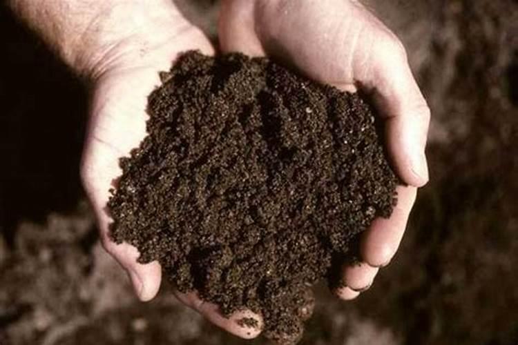 有含碳的叶面肥料吗