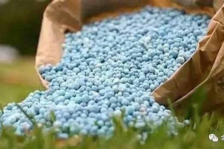 含磷元素的物质都能做磷肥吗