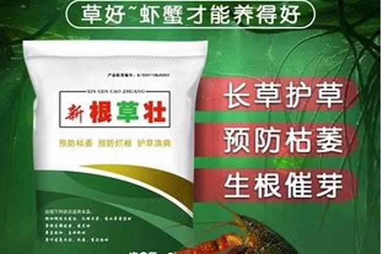 白粉病应用哪些农药？