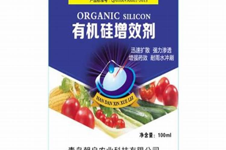 农用有机硅增效剂能在玉米大喇叭口期喷施吗？
