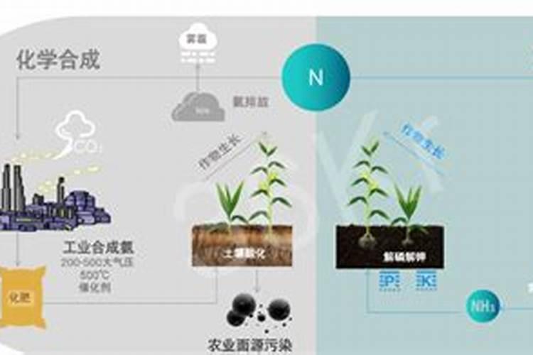生物有机碳肥的作用好不好？原理是什么