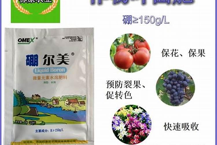 叶面肥排名榜前十名