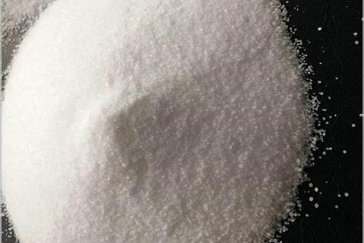 金桔树怎么养如何养殖金桔