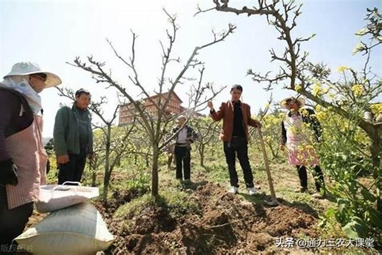 硫黄和硫磺有什么区别