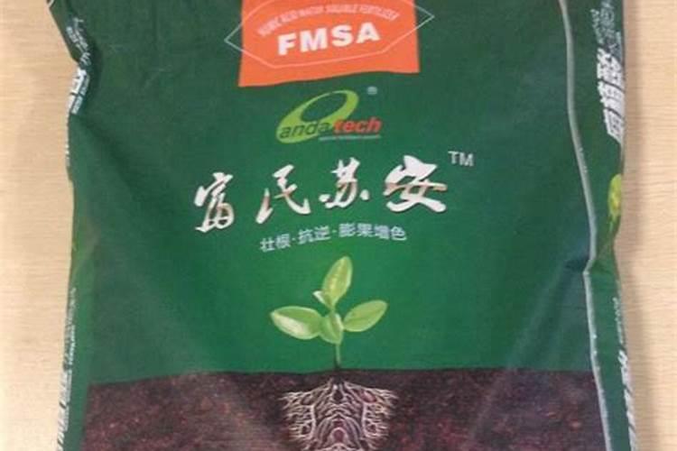 氮肥是什么？
