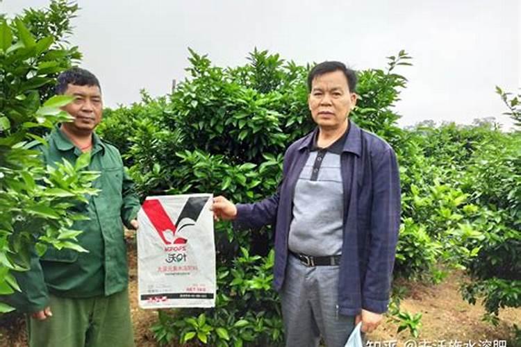 国产水溶肥哪个品牌效果好