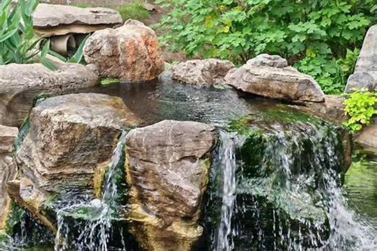 山东绿陇和奥丰哪家公司正规