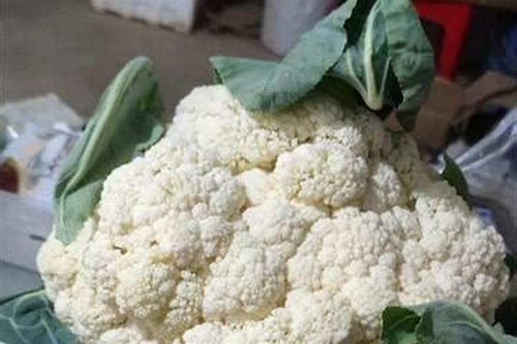 花菜施什么肥最好