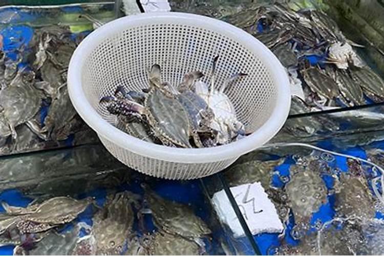 液氮冷冻梭子蟹和鲜蟹有区别吗,液氮冷冻梭子蟹有味道了还能吃吗百度知...