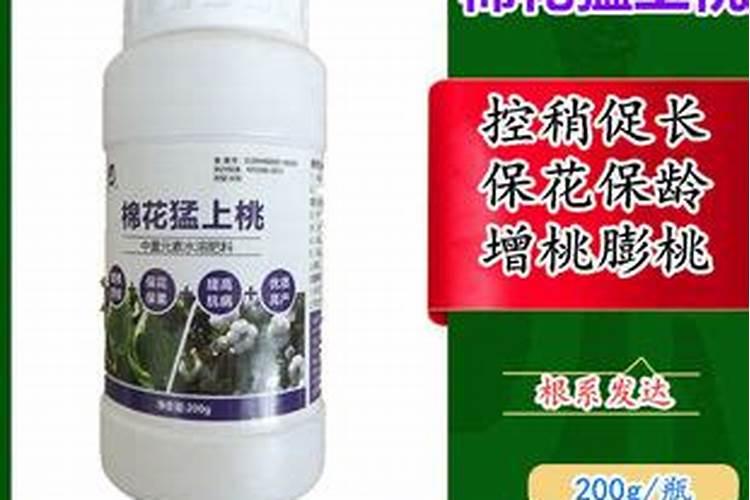 棉花后期施肥最佳配方