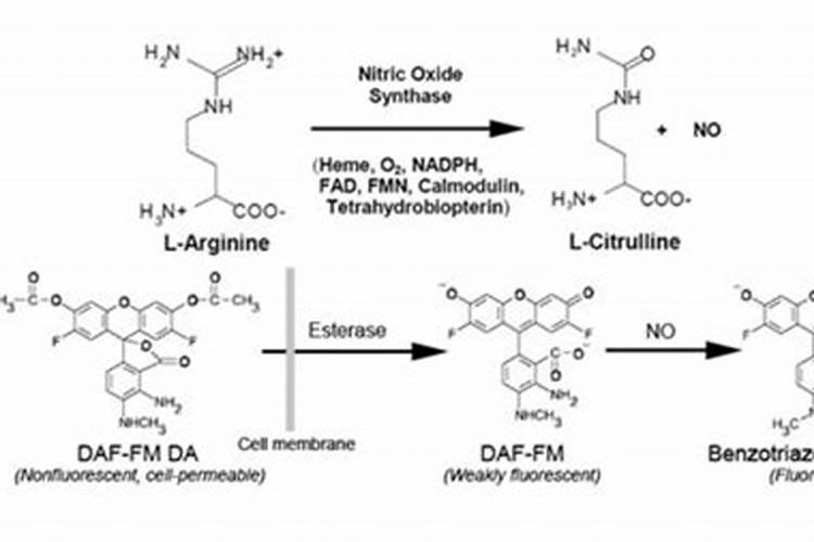 大棚前面黄瓜叶子发黄,有点卷曲,生长缓慢,这是怎么了？怎么治疗？谢谢