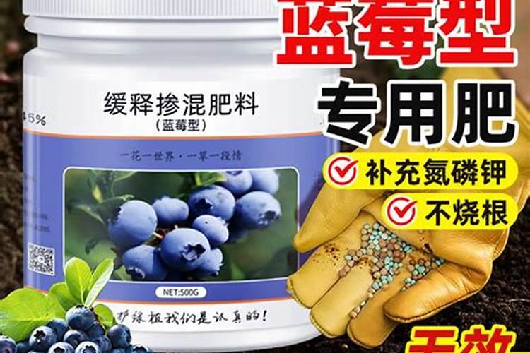 蓝莓什么肥料最好最旺