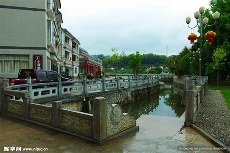 孔雀草的养殖方法都有哪些？