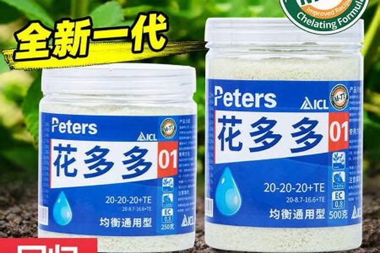 卡日松多肉怎么养？看着状态一般。比较偏白