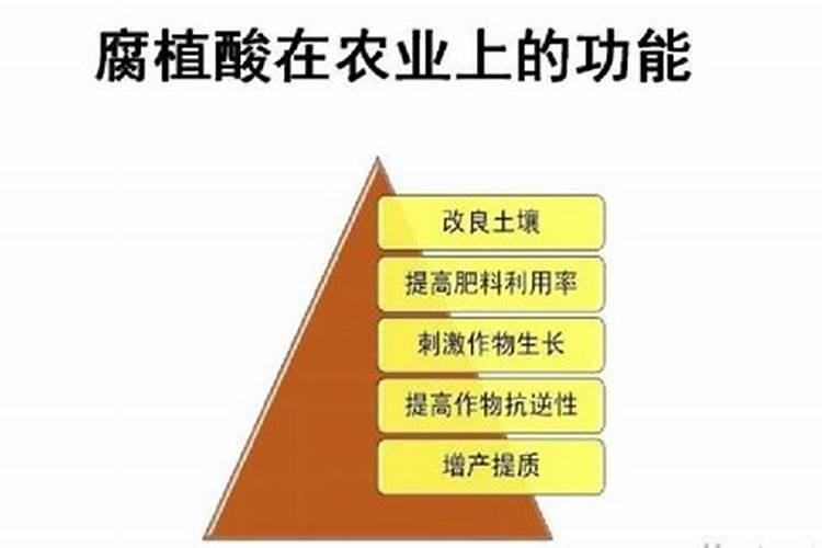 腐植酸肥料的作用是什么？