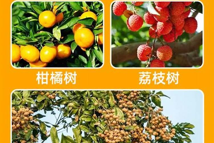 芸苔素内酯在荔枝上的应用间隔期多久？