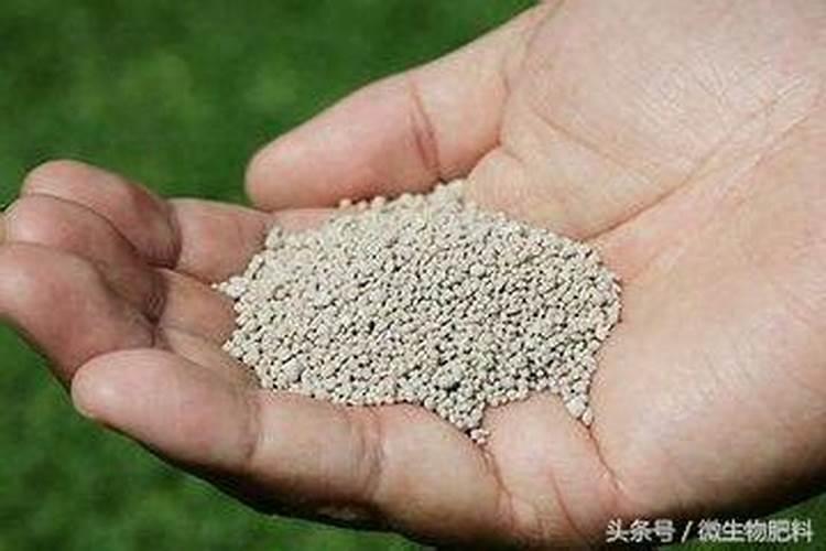 磷肥和化肥的区别