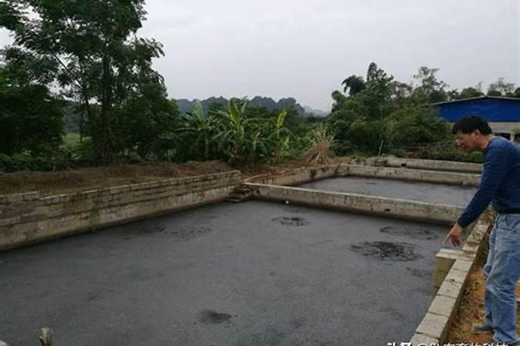 四川凉山州会理县奶油果(牛油果)种苗繁育基地智能水肥一体化灌溉系统...