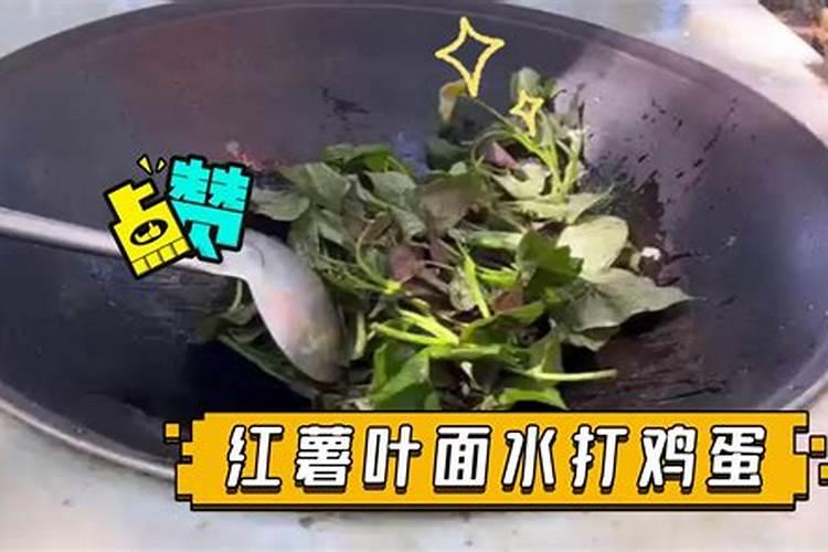 红薯打什么叶面肥增产 植物叶面肥有哪些