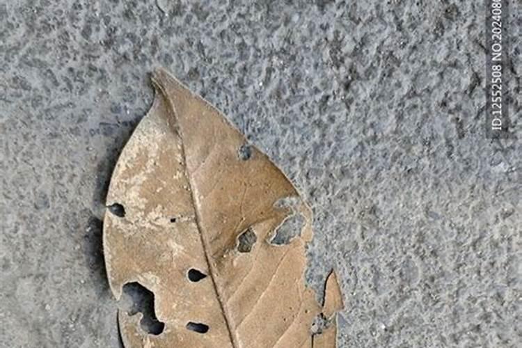 怎样才能得到高氮肥？