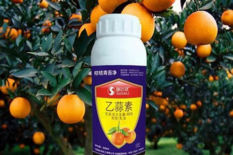 大黑灌冲施肥哪里有卖