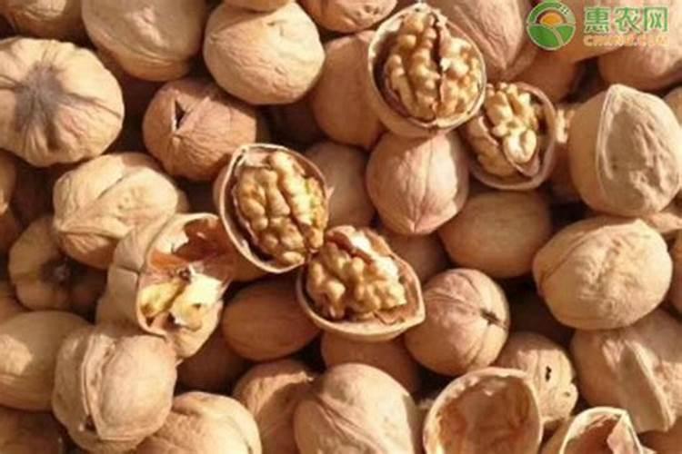 核桃树用什么肥料最好