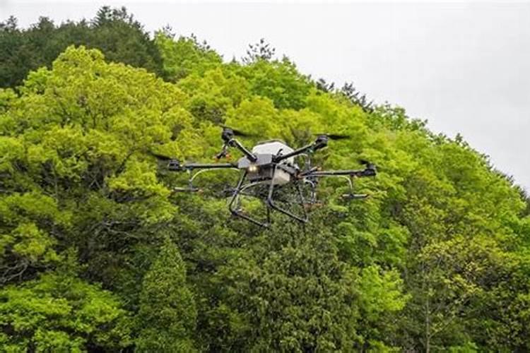 无人机果树撒肥可以吗？