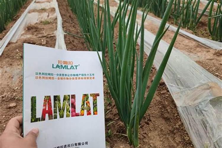 水溶肥市场上目前有哪些主导品牌？