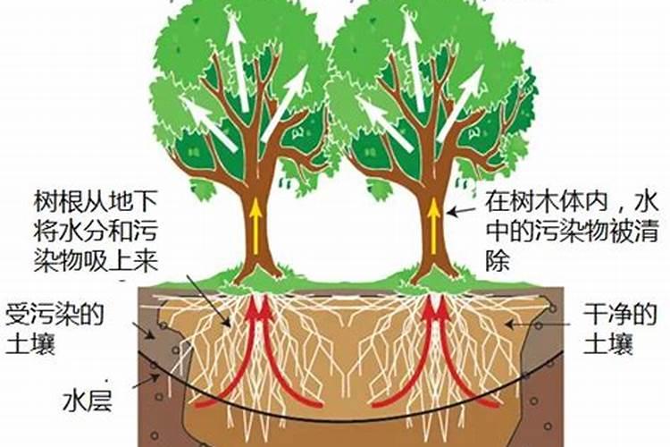 农作物用的化肥,对大脑有什么副作用？
