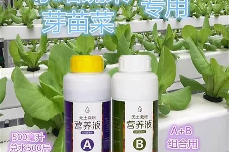 种菜用什么肥料好