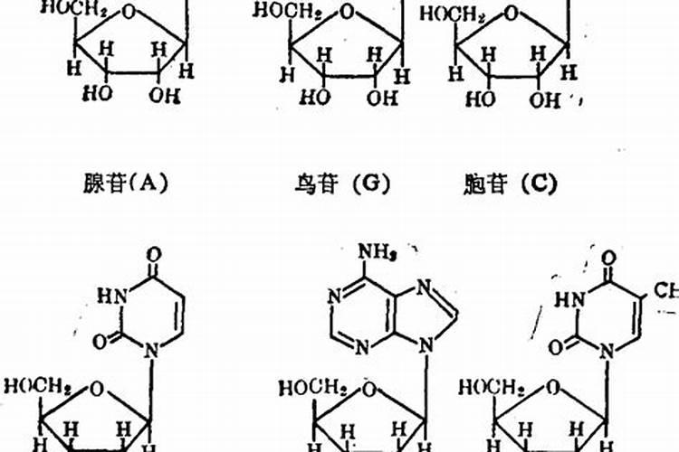 青椒在种植过程中起黄斑