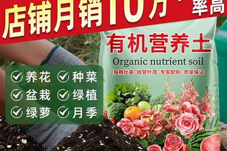有机肥跟有机营养土有什么区别吗