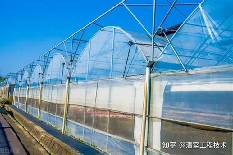 大棚西红柿用什么钾肥好,具体一亩地用多少,含量多少,尤其在膨果期。谢...