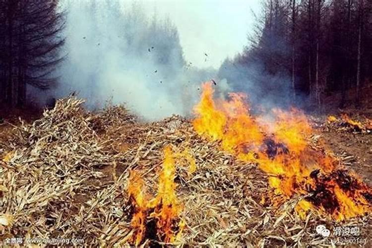 玉米秸秆还田地播种小麦还用上钾肥吗