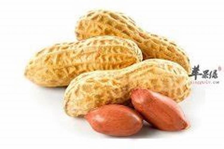 种花生用什么肥料最好