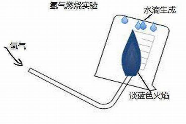 检验铵态氮肥的方法