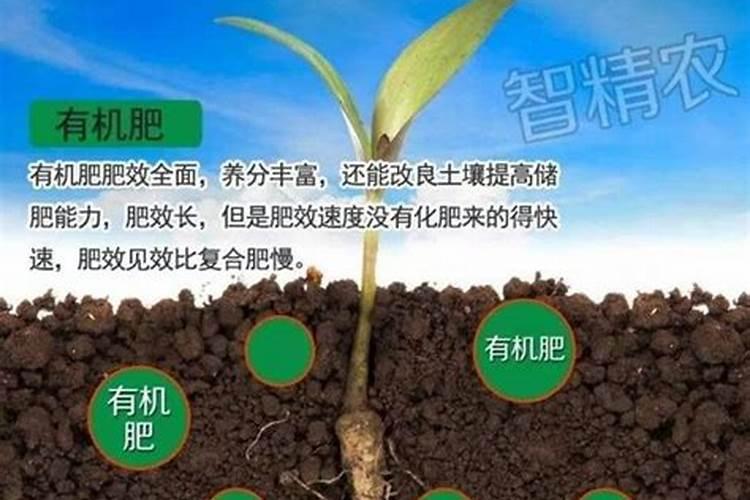 氮肥是酸性还是碱性的