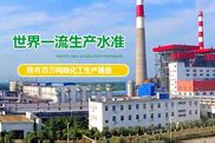 河南金山化工有限责任公司怎么样？