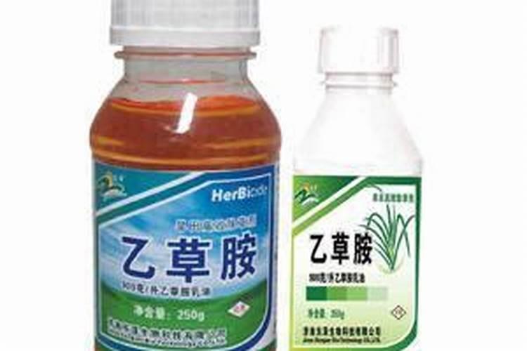 乙草胺对玉米苗有药害吗