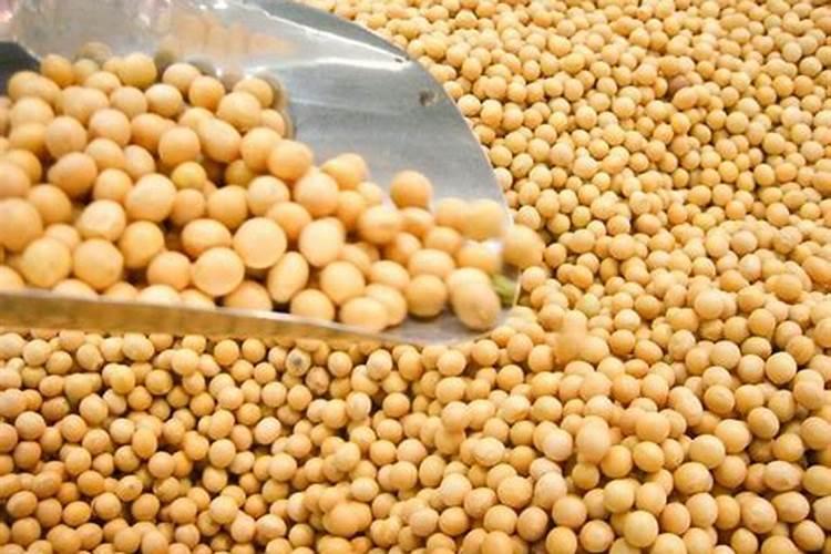 大田作物开春补钙很重要,原因是什么呢？