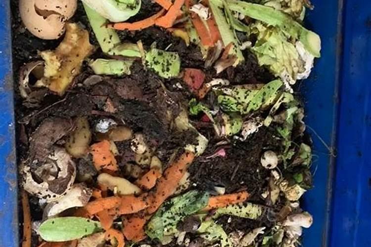 堆肥多久可以种植 堆肥几乎成熟了,什么时候能用于种植？